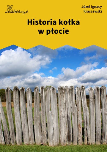 Józef Ignacy Kraszewski, Historia kołka w płocie