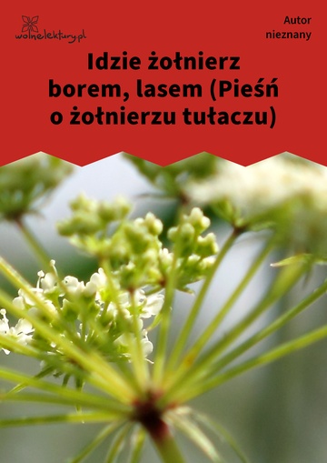 Idzie żołnierz borem, lasem (Pieśń o żołnierzu tułaczu)