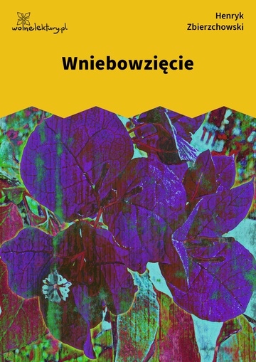 Henryk Zbierzchowski, Impresye, Sonety, Wniebowzięcie