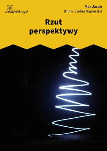 Rzut perspektywy