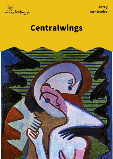 Jerzy Jarniewicz, Makijaż, Centralwings