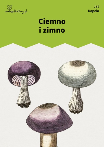 Ciemno i zimno