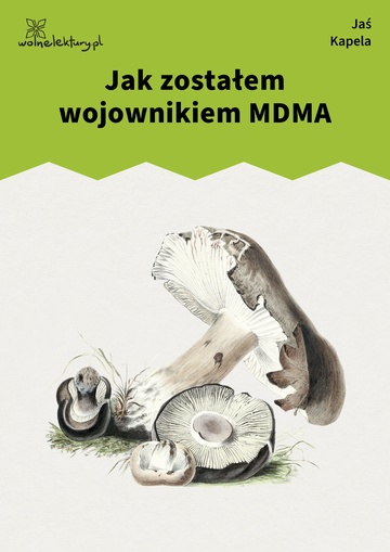 Jaś Kapela, Wybór wierszy, Jak zostałem wojownikiem MDMA