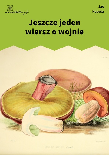 Jaś Kapela, Wybór wierszy, Jeszcze jeden wiersz o wojnie