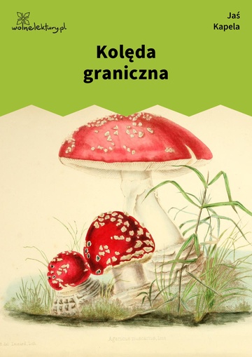 Kolęda graniczna