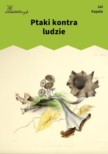 Ptaki kontra ludzie