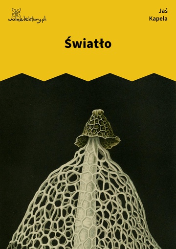 Światło