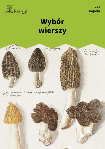 Wybór wierszy