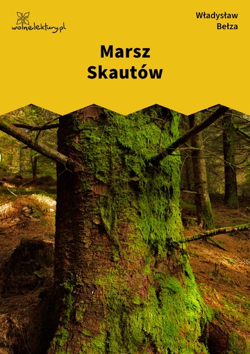 Marsz Skautów