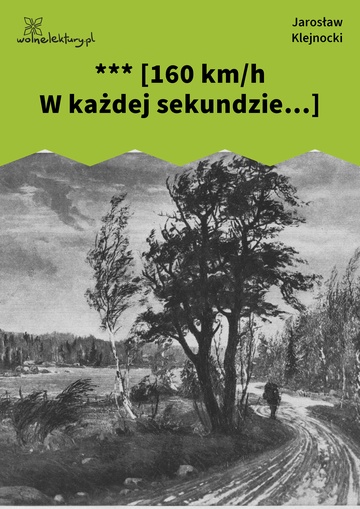 Jarosław Klejnocki, Elegia na śmierć szczegółów (tom), II. Zaprzysiężony, *** [160 km/h W każdej sekundzie…]