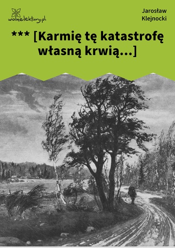 Jarosław Klejnocki, Elegia na śmierć szczegółów (tom), II. Zaprzysiężony, *** [Karmię tę katastrofę własną krwią...]