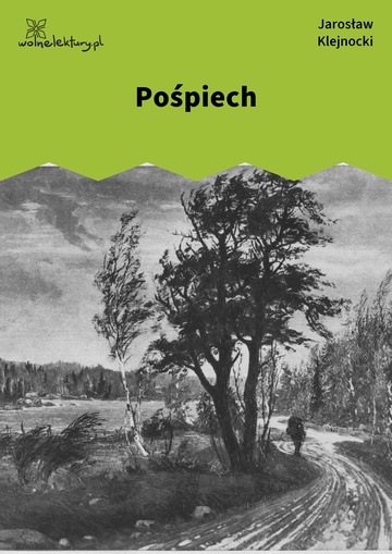 Jarosław Klejnocki, Elegia na śmierć szczegółów (tom), I. Ciemna zasłona, mętne zwierciadło, Pośpiech