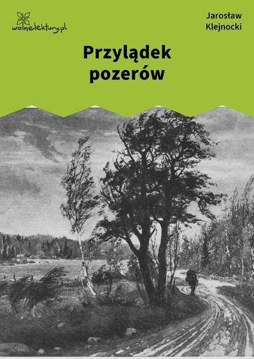 Jarosław Klejnocki, Elegia na śmierć szczegółów (tom), IV. Antynirwana, Przylądek pozerów