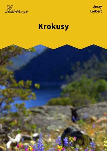 Krokusy