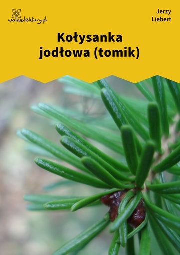 Kołysanka jodłowa (tomik)