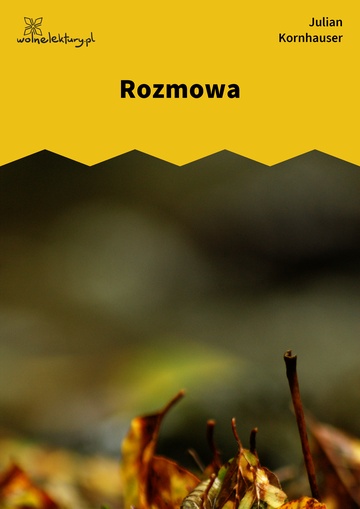 Rozmowa