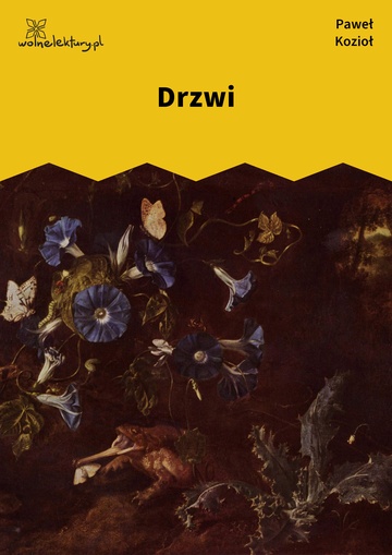 Drzwi