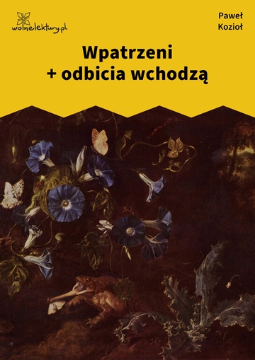 Paweł Kozioł, Czarne kwiaty dla wszystkich, Wpatrzeni + odbicia wchodzą