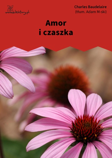 Amor i czaszka