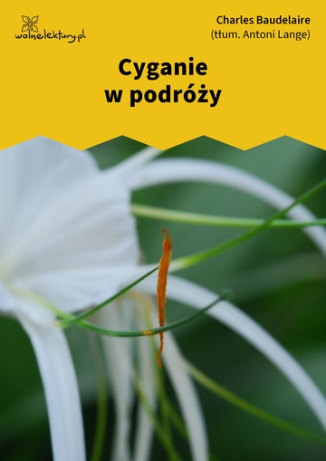 Cyganie w podróży