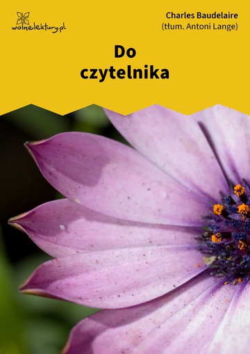 Do czytelnika