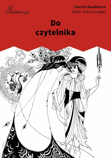 Do czytelnika