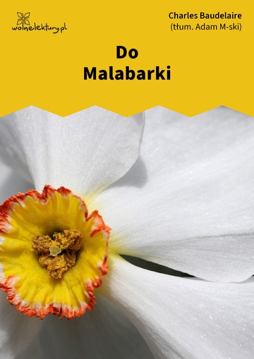 Do Malabarki