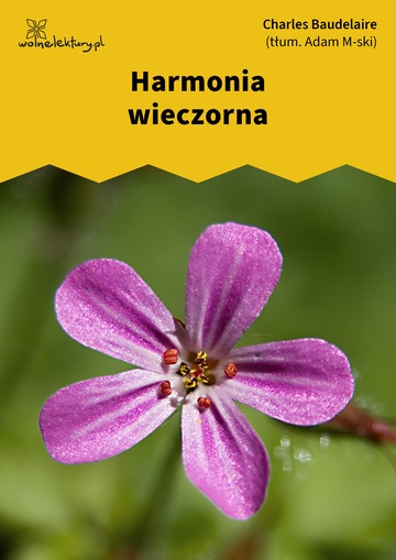 Harmonia wieczorna