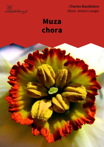 Muza chora