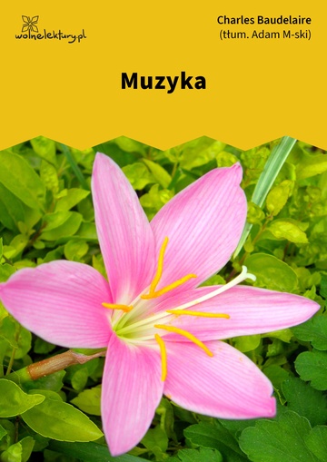 Muzyka