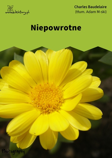 Niepowrotne