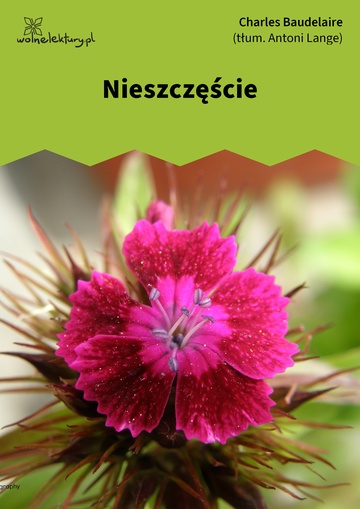 Nieszczęście