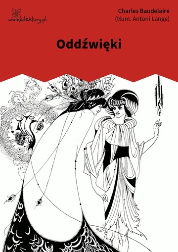 Oddźwięki