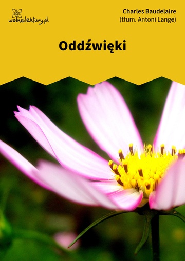 Oddźwięki