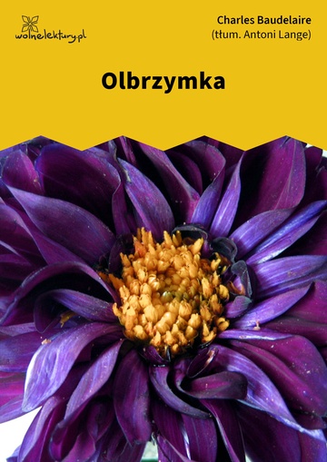 Olbrzymka