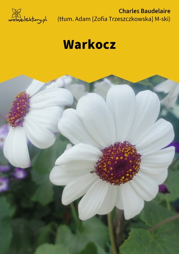 Warkocz