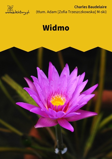 Widmo