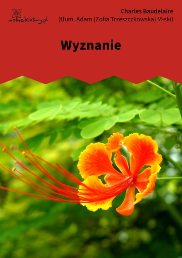 Wyznanie