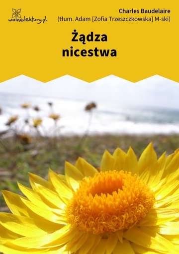 Żądza nicestwa