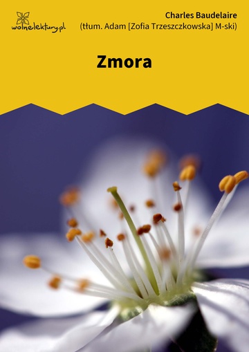 Zmora