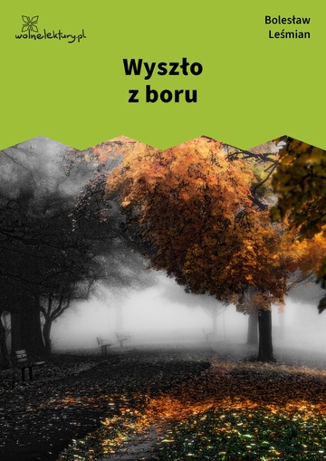 Wyszło z boru