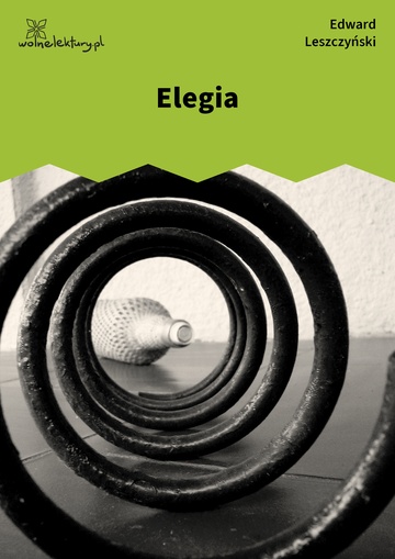 Elegia