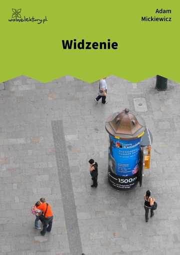 Widzenie