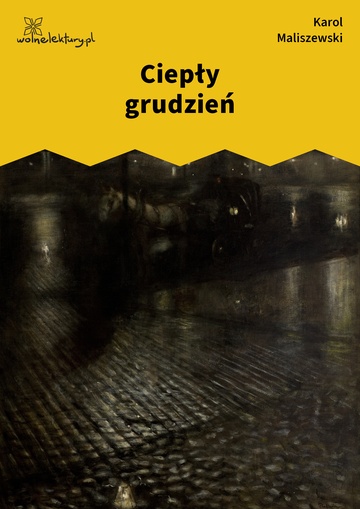 Karol Maliszewski, Zdania na wypadek, III. Zdania na wypadek , Ciepły grudzień