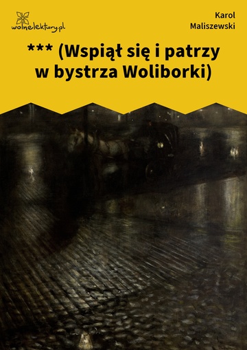 *** (Wspiął się i patrzy w bystrza Woliborki)