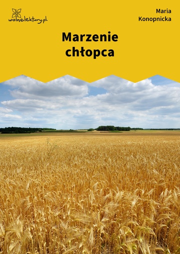 Maria Konopnicka, Poezje dla dzieci do lat 7, część I, Marzenie chłopca