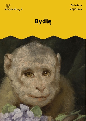 Bydlę