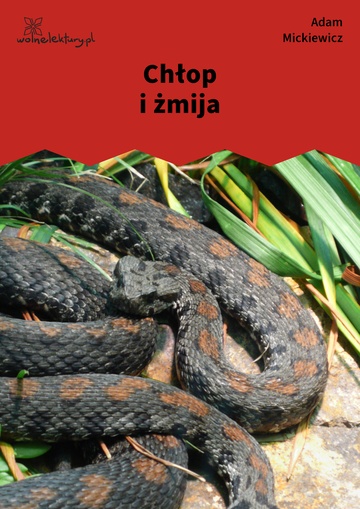 Chłop i żmija