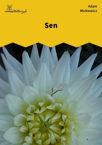 Sen