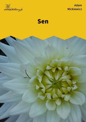 Sen